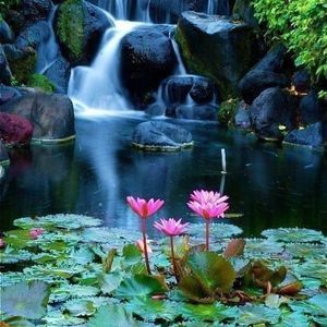 Meet your Posher, Tosin